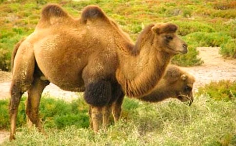 �T�����ģ�ͨ��28ƪ��