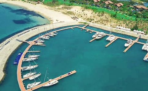 愉快的碼頭趕集行作文