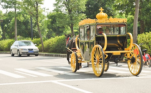 糖尿病五駕馬車(chē)治療方案范文(精選11篇)