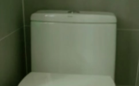 是誰(shuí)讓我的馬桶堵塞作文400字