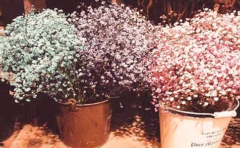 [����]�M��������