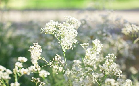 �������M��������