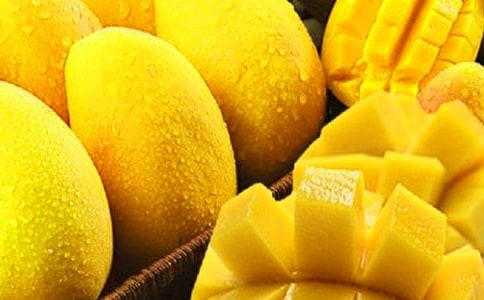 窗外的芒果樹作文800字