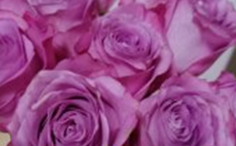 ٛ��õ����������