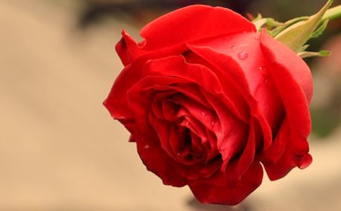 õ�廨�Ļ��Z����Щ��