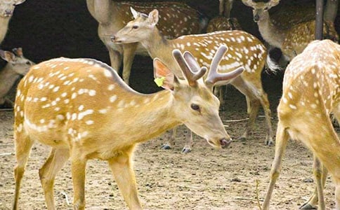 ÷��¹Ó�U(xi��n)ӛ����