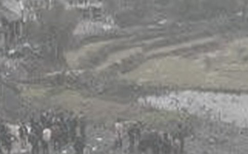 ú�V����棨���x11ƪ��