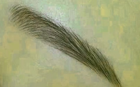 剪眉毛作文【精】