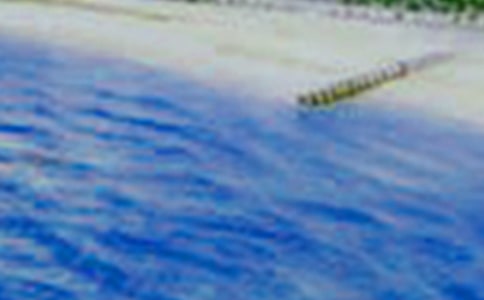 �茑�����ĔM��Ԋ��