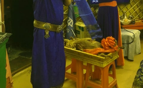 蒙古族的養駝習俗是怎么來的