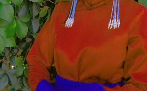 �ɹ�������Щ�L�ף��ɹ���Ľ���