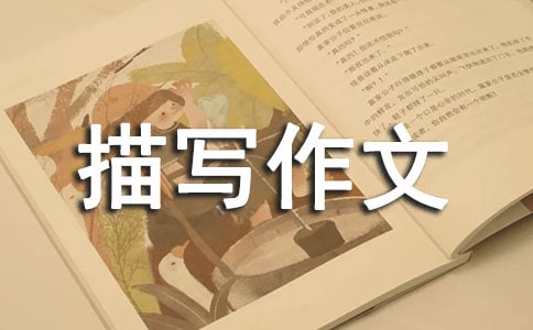 �P(gu��n)�ڈ�(ch��ng)���茑(xi��)����