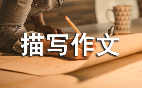 寫人的細節描寫作文(通用38篇)