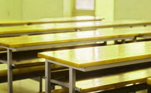 我的母校再見了作文