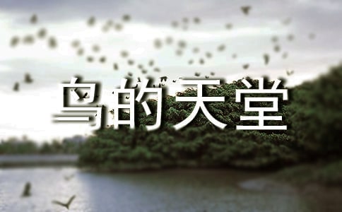 《鳥的天堂》教學實錄(精選17篇)