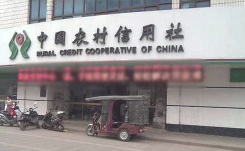 2021農村信用社個人述職報告范文