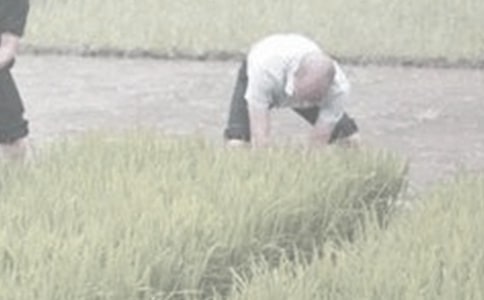 ��һ�θ��r������