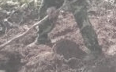 干農(nóng)活的經(jīng)典說說(720句)