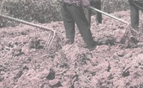 假期在家做農活心得體會(通用5篇)