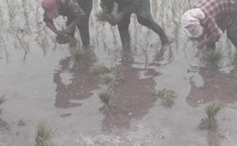 ���r������