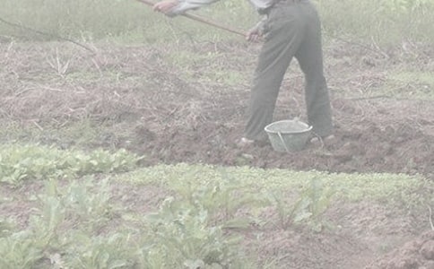 һ�θ��r��Ć�ʾ����