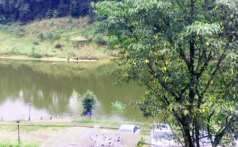 �r�Ҙ�����11ƪ�����]��