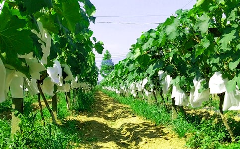 �r�Ҙ�����[ͨ��]