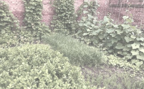 һ�����^���Ĺ�,����L�ڈA�X��(��һ�r(n��ng)����)