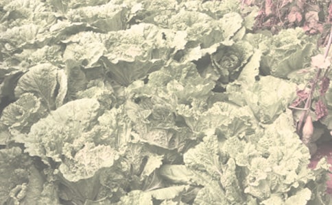 �������r����N�Ӳ�ُ��ͬ