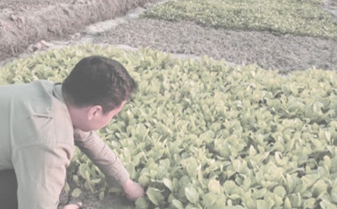 �r(n��ng)����N���A�s���a(ch��n)��ͬ-����