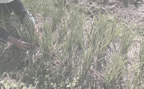 �r(n��ng)����Ě�B(t��i)���pʧ