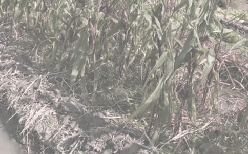 �gӭ�~�r���ﰲȫ�����������gӭ�o