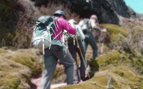 ��ɽ������15ƪ�����A��