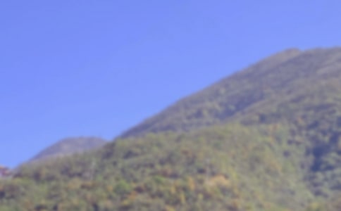 爬山的作文【錦集31篇】