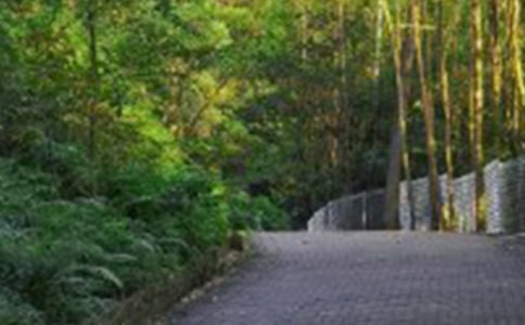 ��ɽ������