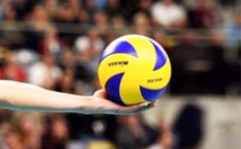 【精華】打排球作文15篇