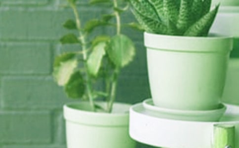 ����������ô�Nֲ�ź���