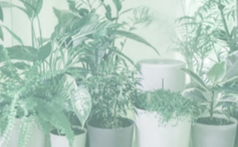 ��Ҳ���B���Ե��f�f�ۼ�