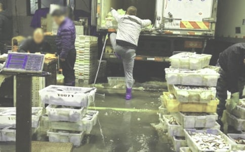 ˎƷ���l��I�}������ƶȣ����x14ƪ��