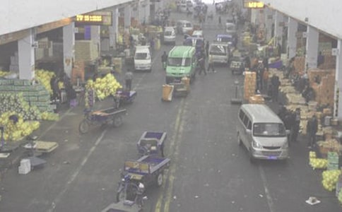 ��ʳ���l�}������ƶȣ�ͨ��5ƪ��