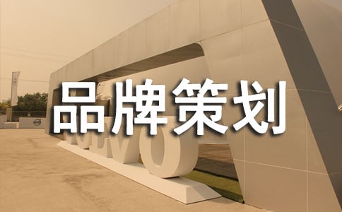 個(gè)人品牌策劃書(shū)(精選12篇)