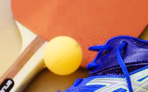 難忘的乒乓球賽作文