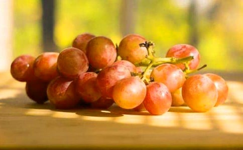 《憤怒的葡萄》讀后感(通用15篇)