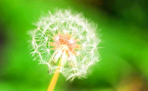 �w����ѹ�Ӣ