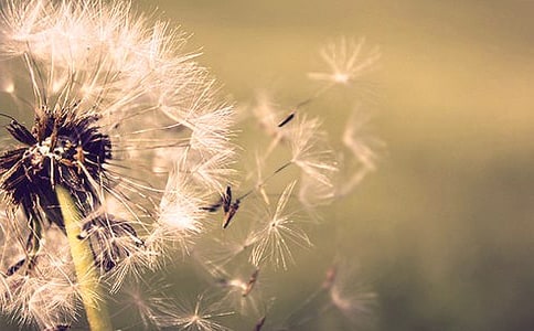 ���ѹ�Ӣ�ĉ�����˼���؂�14ƪ��