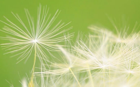 �����á��ѹ�Ӣ����9ƪ