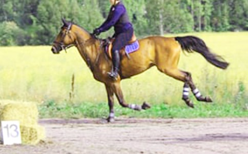 ���]����һ���T�R����