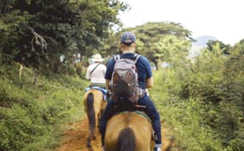 �����]����һ���T�R����