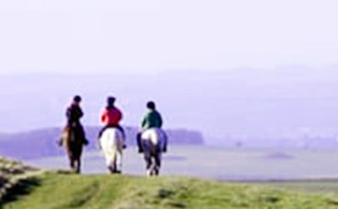 ��һ���T�R