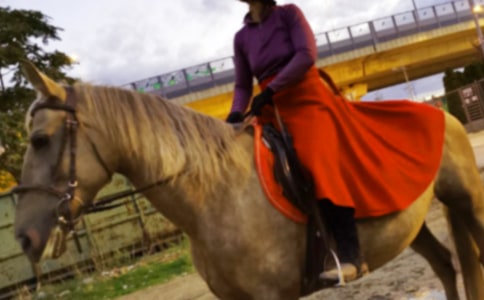 ��һ���T�R���ġ����T��